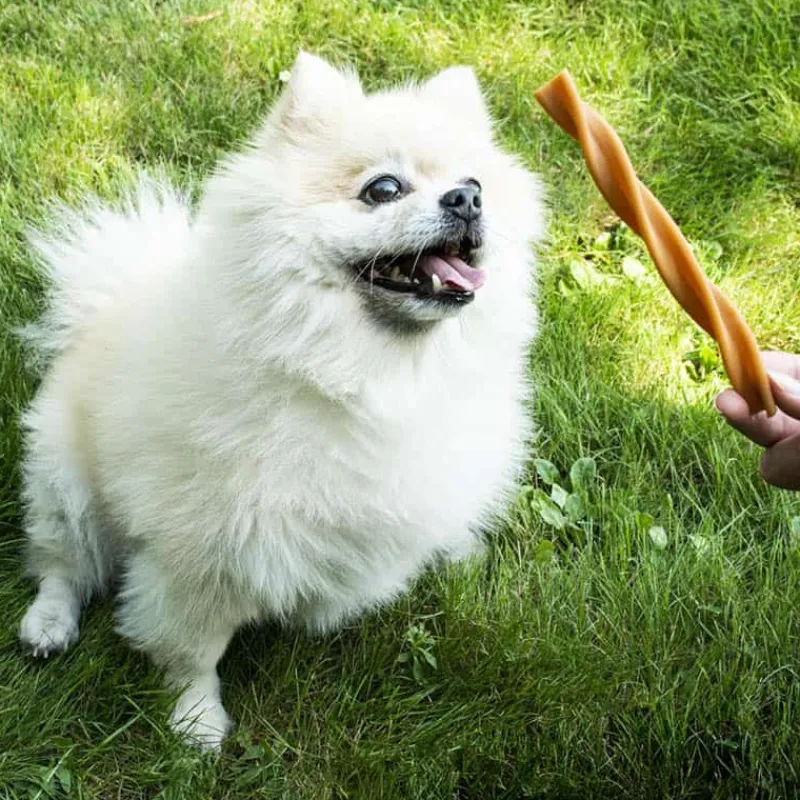 Duvo+ Garden Bites Dental Swirls (13cm) 30st> Hond