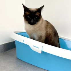 Duvo+ Kattenbakvulling Ecomais klontvormd (3,5kg)> Kat