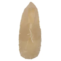 Duvo+ Kauwschoen (20cm)> Hond