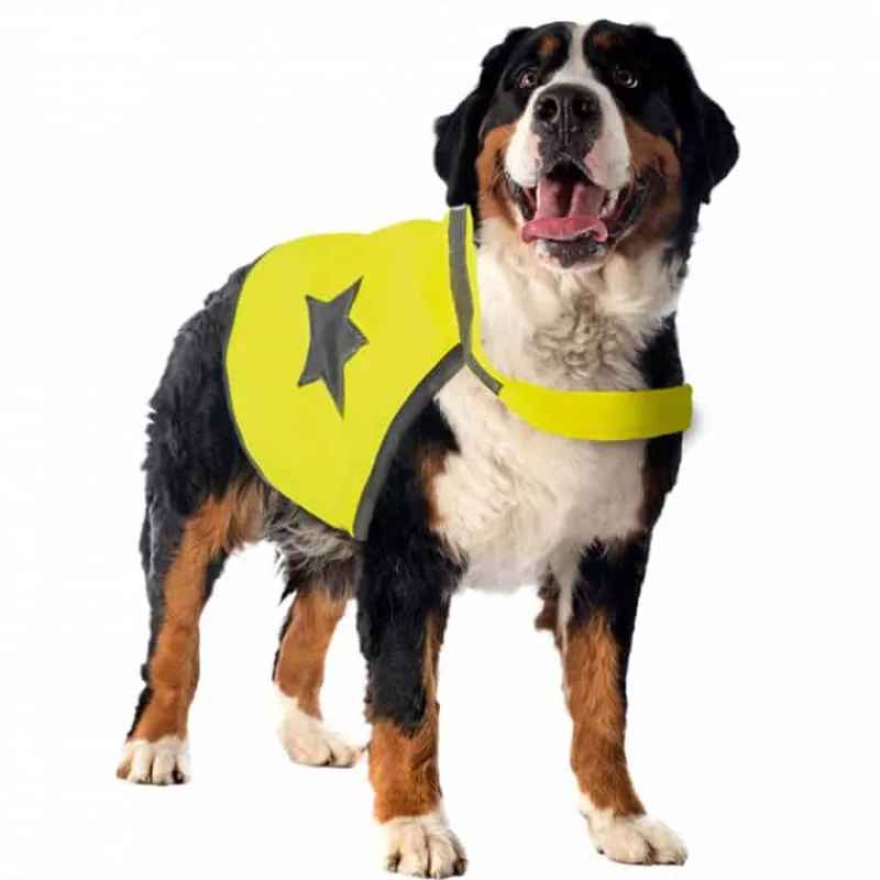 Duvo+ veiligheidsjasje (56cm) fluo> Hond