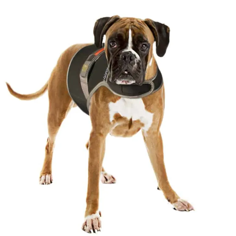 Duvo+ Veiligheidsjasje fluo flash L – USB zwart> Hond