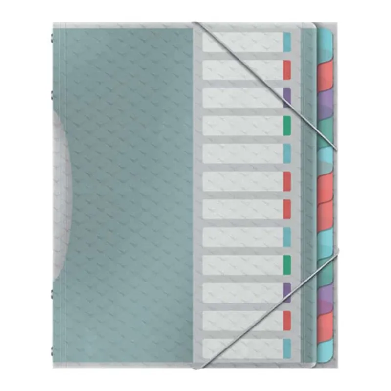 Esselte Divider book PP assortiment 12 tabs> Mappen & Ordners