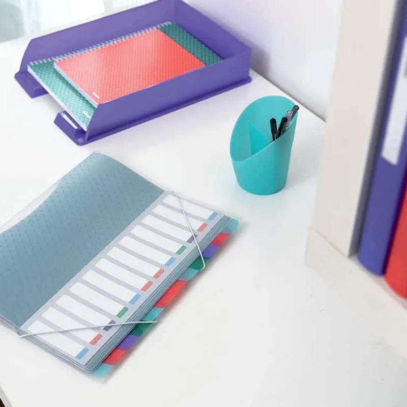 Esselte Divider book PP assortiment 12 tabs> Mappen & Ordners