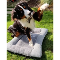 Huisdier kussen (75x55x8cm) grijs> Kat|Hond