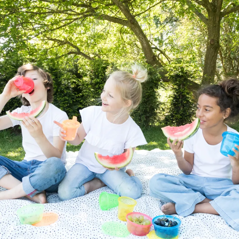 Nuby Picknick kommetjes (6 stuks) met deksel> Eten En Drinken