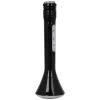 Party bluetooth karaoke microfoon zwart> Electronica & Muziek