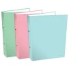 Pastel Ringband A4 (2 ringen)> Mappen & Ordners