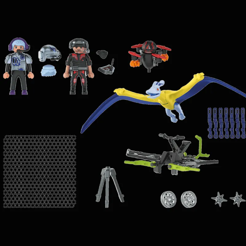 Playmobil ® Dino Rise: Pterandon: aanval vanuit de lucht (70628)> Speelsets