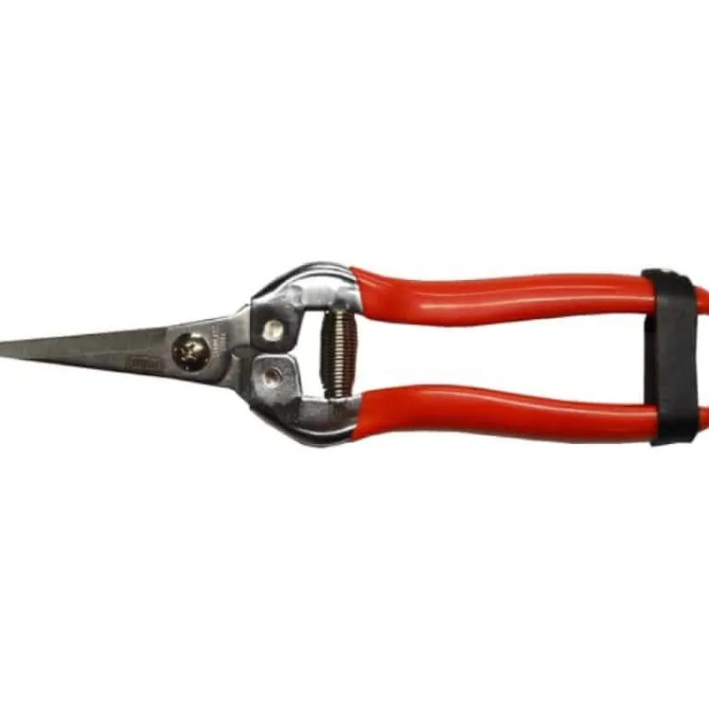 Polet Fruitschaar (185mm)> Gereedschap