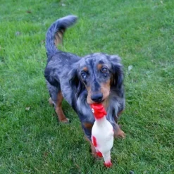 Speeltje Haan met Geluid voor Honden> Hond